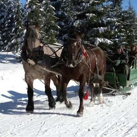 In Nahetal-waldau 3184 بيت للعطل Schönbrunn
